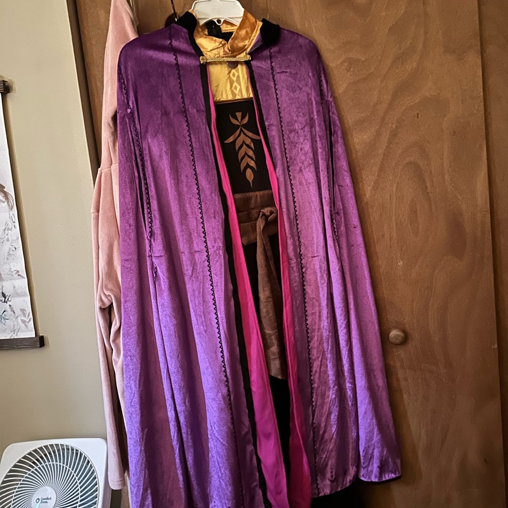Adult Frozen 2 Anna Costume